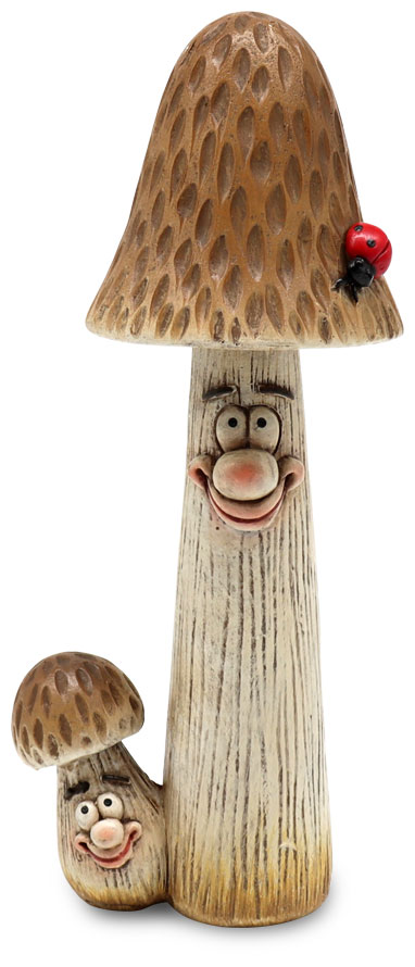 Mushrooms Nathi & Fabi