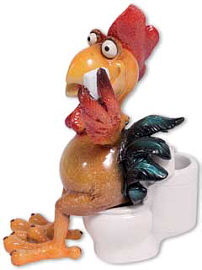 Rooster Gustav at toilet