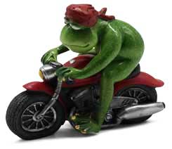 Frosch Philippe auf Motorrad